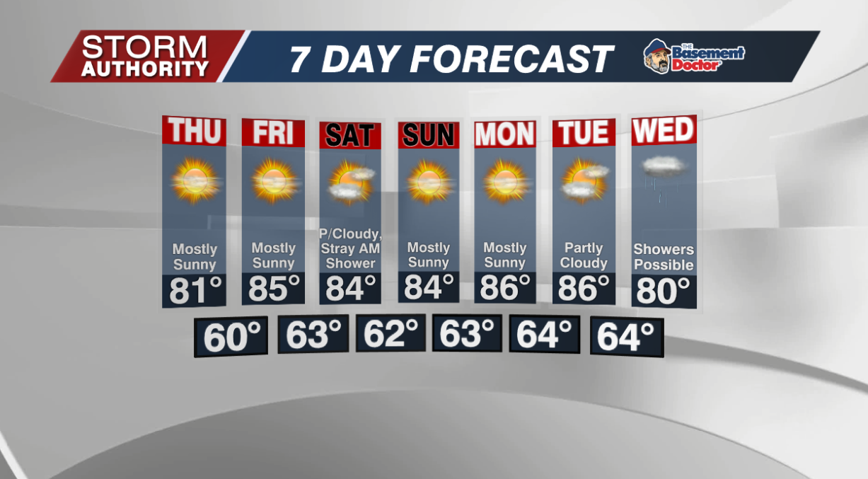 7 Day Forecast